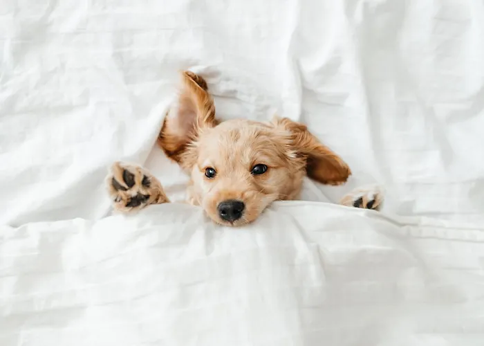 Pestana Carlton Madeira Ocean 5* Funchal